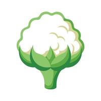 Flat Icon of Cauliflower Floret with Textured Surface vector