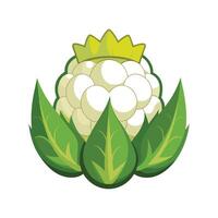 Flat Icon of Cauliflower with Textured Florets vector