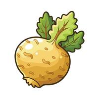 Elegant Celeriac with Bumpy Surface vector