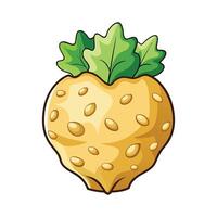Stylish Celery Root with Rough Texture vector