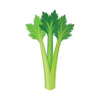 Celery Stalk with Crisp Texture Illustration vector