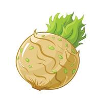 Flat Icon of Celery Root with Rough Texture vector
