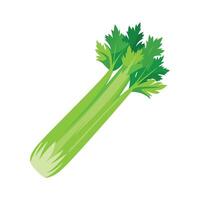 Flat Icon of Celery Stalk with Crisp Leaves vector