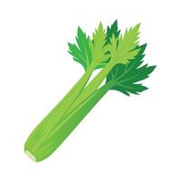 Elegant Celery Stalk with Crisp Texture vector