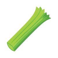 Celery Stick with Curved Ribs Design vector