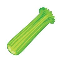 Stylish Celery Stick with Crisp Edges vector