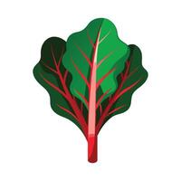 Elegant Chard Leaf with Bright Stems vector