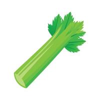 Elegant Celery Stick with Crisp Edges vector
