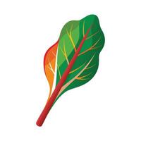 Chard Leaf with Colorful Stems vector