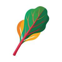 Flat Icon of Chard Leaf with Colorful Stems vector