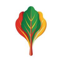 Stylish Chard Leaf with Colorful Stems vector