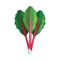 Elegant Chard with Bright Red Stems vector