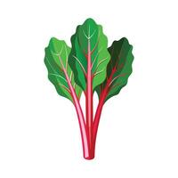 Flat Icon of Chard with Bright Red Stems vector