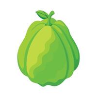 Chayote Squash with Lumpy Surface Design vector