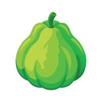 Flat Icon of Chayote Squash with Lumpy Surface vector