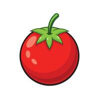 Cherry Tomatoes with Round Shape Illustration vector