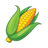 Stylish Corn with Yellow Kernels and Green Husk vector
