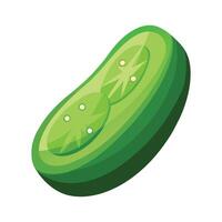 Fresh Cucumber Slice with Visible Seeds Illustration vector