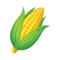 Illustration of Corn with Yellow Kernels and Husk vector