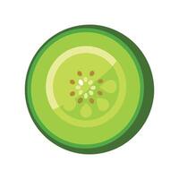 Visible Seeds Cucumber Slice for Culinary Designs vector
