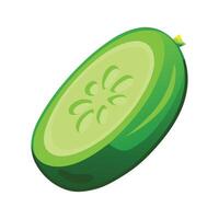Single Cucumber Slice with Seeds for Illustrations vector