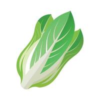 Stylish Endive Leaf with Curved Shape Design vector