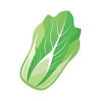 Artistic Endive Leaf with Curved Shape Design vector