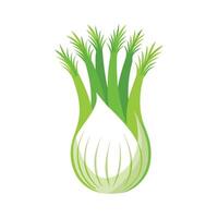 Single Fennel Bulb with Layered Base Design vector