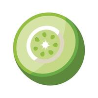 Elegant Zucchini Slice with Soft Edges vector