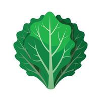 Single Kale Leaf with Curled Edges Design vector