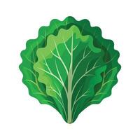 Elegant Kale Leaf with Curly Edges vector