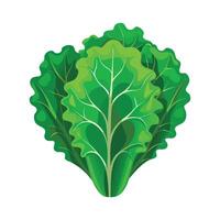 Artistic Kale Leaf with Curly Edges vector