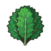 Frilly Kale Leaf with Edges for Design vector