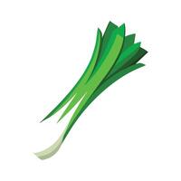 Elegant Long White and Green Sections Leek vector