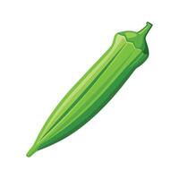 Elegant Okra Pod with Pointed Tip vector