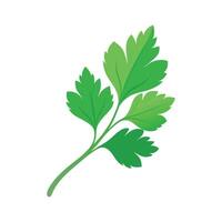 Single Parsley Leaf with Delicate Shape vector