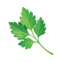 Stylish Parsley Leaf with Delicate Shape vector