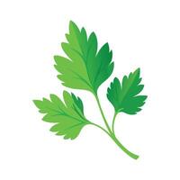 Artistic Parsley Leaf with Delicate Shape vector