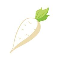 Elegant Parsnip with Tapered Body vector
