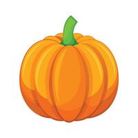 Small Pumpkin with Defined Ridges vector