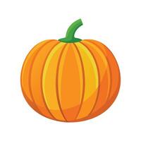 Artistic Small Pumpkin with Defined Ridges vector