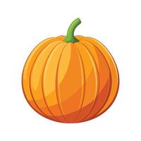 Stylish Small Pumpkin with Defined Ridges vector