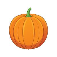 Elegant Small Pumpkin with Defined Ridges vector