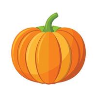 Elegant MediumSized Pumpkin with Defined Ridges vector