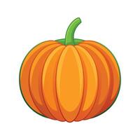 Art of MediumSized Pumpkin with Defined Ridges vector