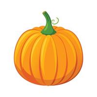 MediumSized Pumpkin with Defined Ridges vector