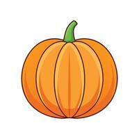 Stylish Small Pumpkin with Ribbed Surface vector