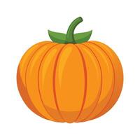 Stylish MediumSized Pumpkin with Defined Ridges vector