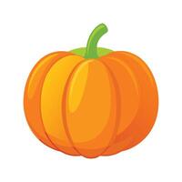 Single Pumpkin with Smooth Orange Surface vector