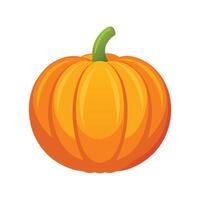 Stylish Pumpkin with Ridges and Stem vector